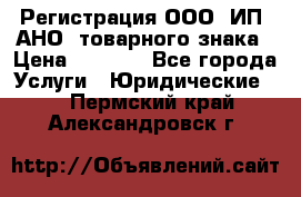 Регистрация ООО, ИП, АНО, товарного знака › Цена ­ 5 000 - Все города Услуги » Юридические   . Пермский край,Александровск г.